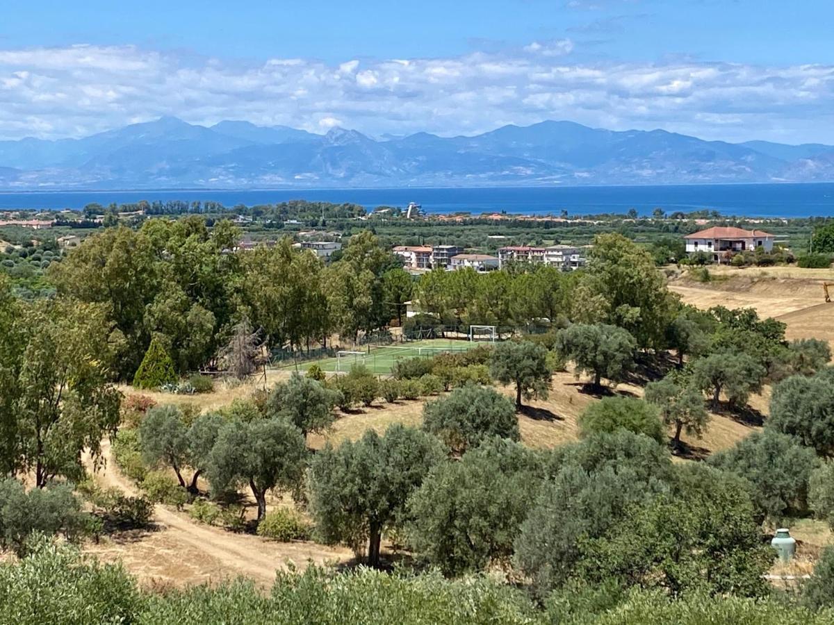 Le Colline Del Gelso-Masseria Mazzei Guest House Rossano Bagian luar foto